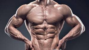 Muscle Building